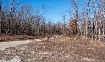 3968 Highway 167, Ash Flat, AR 72513