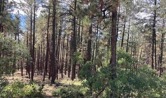 226 Elk Dr, Bayfield, CO 81122