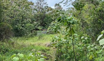 250 LAULA Rd Lot #: 4, Hilo, HI 96720