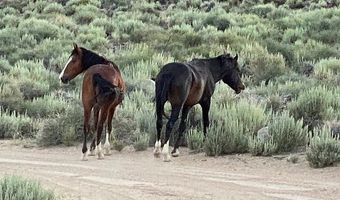 1360 Wild Horse Run, Dyer, NV 89010