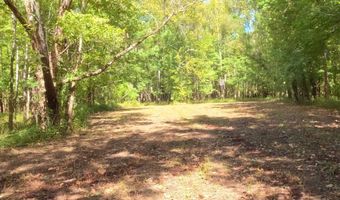 0 Hwy 24 Tract A, Woodville, MS 39669
