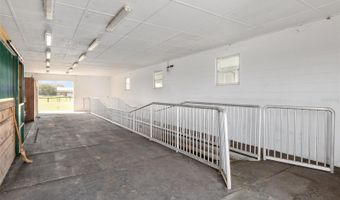 4695 NE 112TH Ln, Anthony, FL 32617
