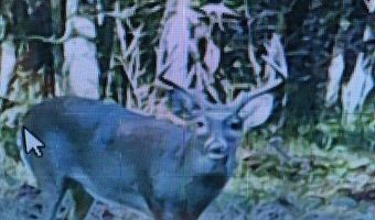 001 Farr Rd, Bolton, MS 39041