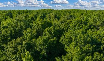 County Road 260, Bruce, MS 38915