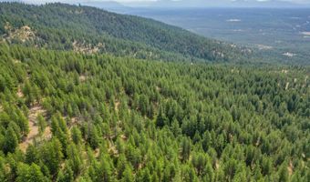 NNA USFS 2550 40 acres, Blanchard, ID 83804