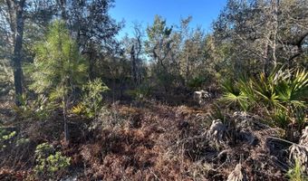 NW Lake McKenzie Rd, Altha, FL 32421
