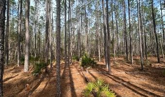 NW County Road 236, Bell, FL 32619