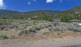2458 Eagle Ridge Rd 1, Genoa, NV 89411