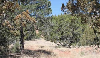 Tbd Mauer Drive, Bent, NM 88314