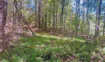 0 Williamson Rd, Tallapoosa, GA 30176