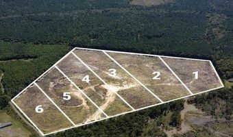 Lot 1 Highway 790, Ackerman, MS 39735