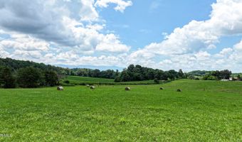 Chuckey Doak Road, Afton, TN 37616