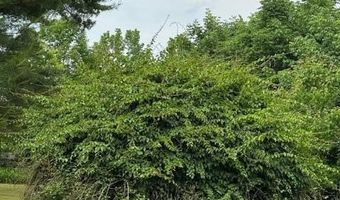 45 Freedom Rd, Belgrade, ME 04917