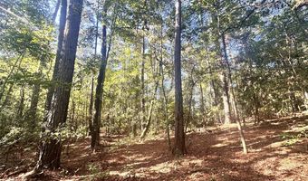 0 Highway 3, Blackville, SC 29817