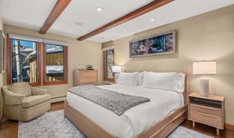 825 E Hopkins Ave 2S, Aspen, CO 81611