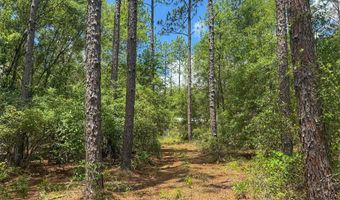 6339 NW 17th Ct, Bell, FL 32619