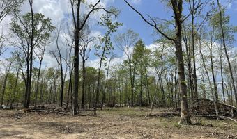 State Hwy N Tract G, Ava, MO 65608