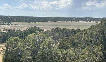 Lot 122/123, Concho, AZ 85924