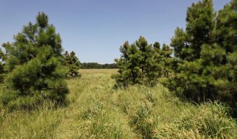 0001 E. 1960 Rd, Antlers, OK 74523