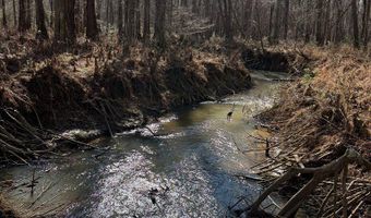 Cr 127, Abbeville, MS 38601