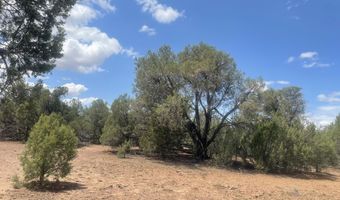 4934 Elk Trail Rd, Clay Springs, AZ 85923