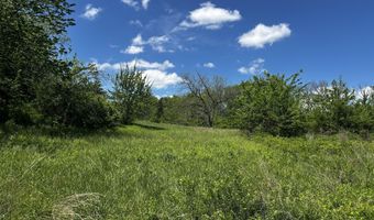 E Dade 22 Road, Arcola, MO 65603