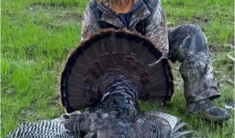 Pleasant Hill Road, Ashland, MS 38603
