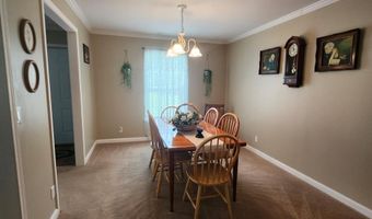 786 Blackberry Rd, Baconton, GA 31716