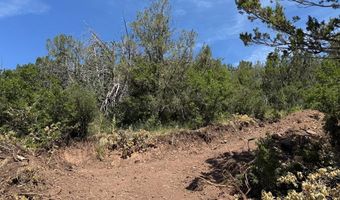 TBD-2 Vine Mesa Ave, Beulah, CO 81023