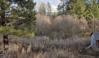 2477 CEDONIA ADDY Rd, Addy, WA 99101