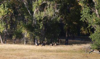 TBD County Road 170, Agate, CO 80101