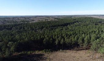 113 Parkway Trail Blvd, Bauxite, AR 72011