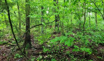 34587 County Road 246, Ava, MO 65608