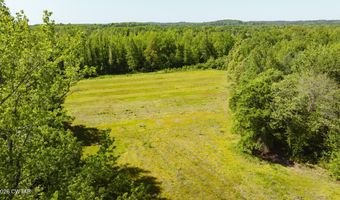 Beech Bluff Road, Beech Bluff, TN 38313