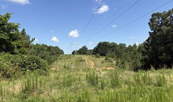 Beauty Hill Rd lot 1, Bethel Springs, TN 38315