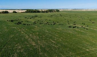 885 Th Rd, Bassett, NE 68714