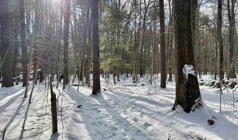 Lot 80-1 Currier Road, Candia, NH 03034