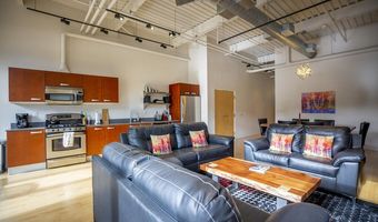 231 Robinson Street 330, Basalt, CO 81621