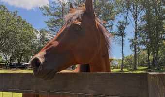 3204 Reavis Mountain Rd, Ball Ground, GA 30107