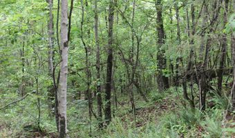 E Mountain Road, Bee Branch, AR 72013