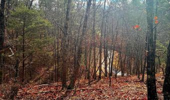 KING Street, Basye, VA 22810