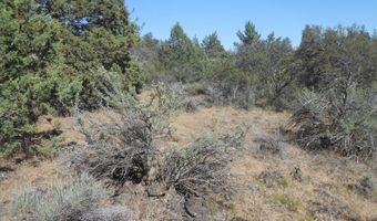 Ground Squirrel Drive, Bonanza, OR 97623