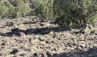 478 N8521, Concho, AZ 85924