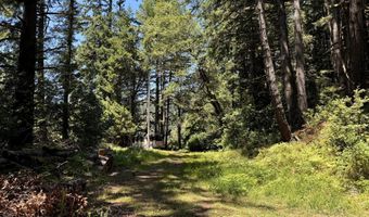 Silver Creek RD 2, Gold Beach, OR 97444