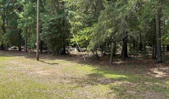 2950 Fountainville Rd, Andersonville, GA 31711