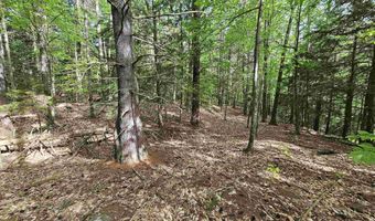Province Road lot 26, Belmont, NH 03220