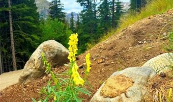 926 Nuthatch Dr, Alma, CO 80420