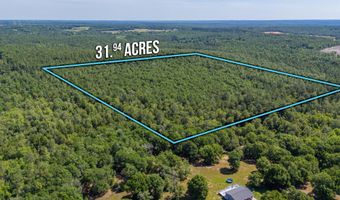 31 Acres Canyon Trl, Baker, FL 32531