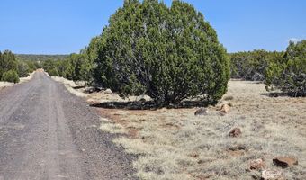 Tbd N8060, Concho, AZ 85924