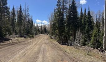 361 N Falcon Ct, Brian Head, UT 84719